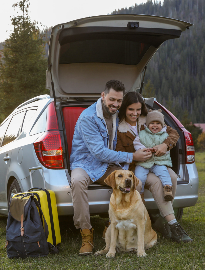 Family with dog sitting in car with boot open in the great outdoors