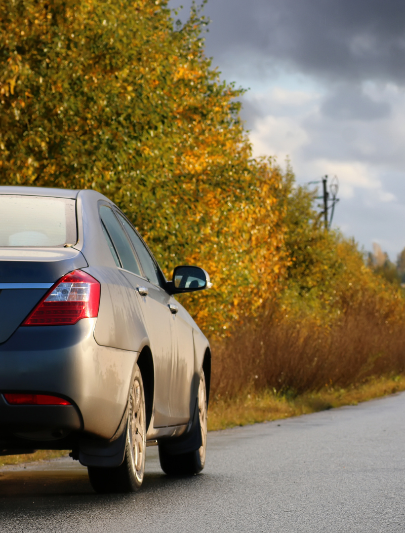 Grey car parked next to autumn foliage